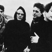 Hammerbox - List pictures