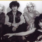 Siouxie - List pictures