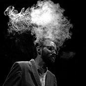 Eels - List pictures