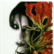 Deadman - List pictures