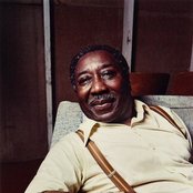 Muddy Waters - List pictures