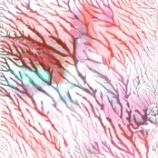 Dreamer - List pictures