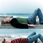 Vines - List pictures