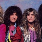 White Lion - List pictures