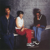 Digable Planets - List pictures