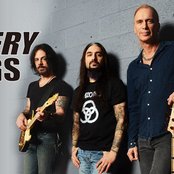 Winery Dogs - List pictures