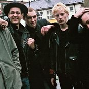 Zulu - List pictures