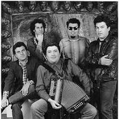 Los Lobos - List pictures