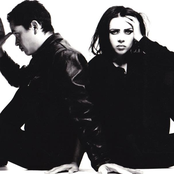 Curve - List pictures