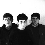 Flowers - List pictures