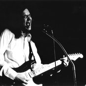 The 13th Floor Elevators - List pictures