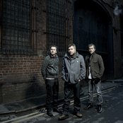 Doves - List pictures