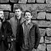 Mighty Oaks - List pictures