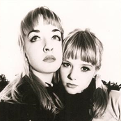 Shampoo - List pictures