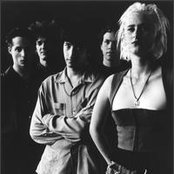 Medicine - List pictures