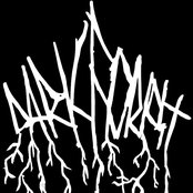 Dark Forest - List pictures