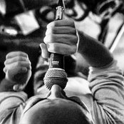 Adam - List pictures