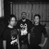 Anatomia - List pictures