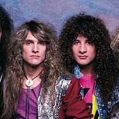White Lion - List pictures