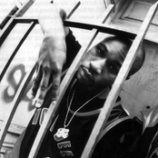 Havoc - List pictures