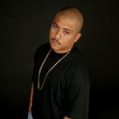 Mr. Shadow - List pictures