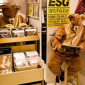 2 Bears - List pictures