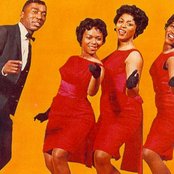The Exciters - List pictures