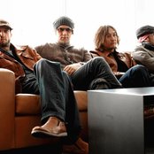 Monkey Majik - List pictures