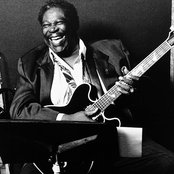 B.b. King - List pictures