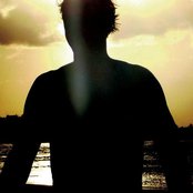 Tigerskin - List pictures