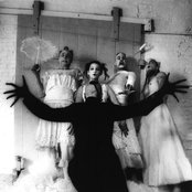 Sleepytime Gorilla Museum - List pictures