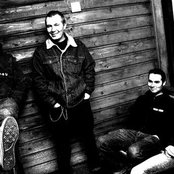 The Phoenix Foundation - List pictures