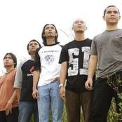 Padi - List pictures