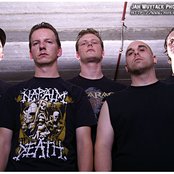 Born From Pain - List pictures