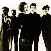 Dead Can Dance - List pictures
