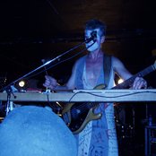 Sleepytime Gorilla Museum - List pictures