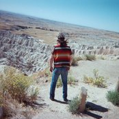 Ice Dragon - List pictures