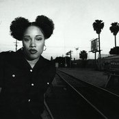 The Lady Of Rage - List pictures