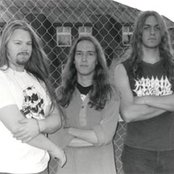 Nasum - List pictures