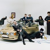 Jungle - List pictures