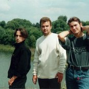 Forgive-me-not - List pictures