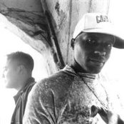 Dr. Octagon - List pictures