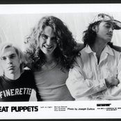 Meat Puppets - List pictures