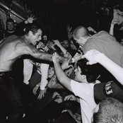 Merauder - List pictures