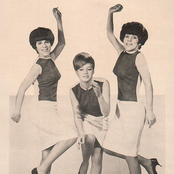 The Shangri-las - List pictures