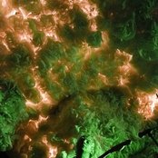 Lee Ranaldo - List pictures