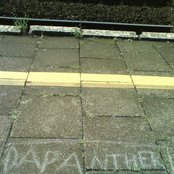 Japanther - List pictures