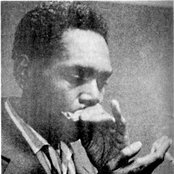 Big Walter Horton - List pictures