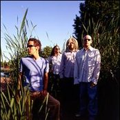 Stereo Fuse - List pictures