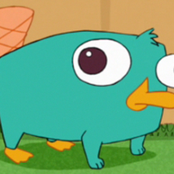 Phineas And Ferb - List pictures